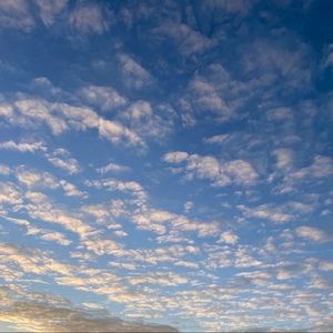 Meet your Posher, Anya